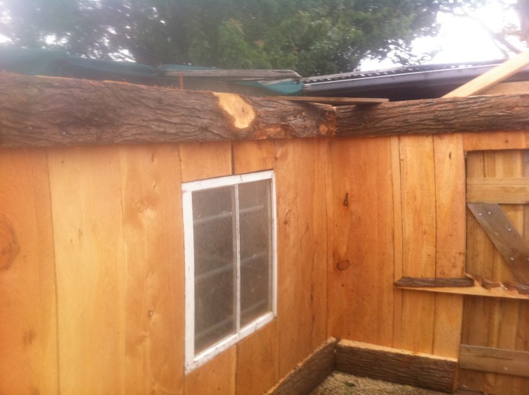 The door and windows go in.