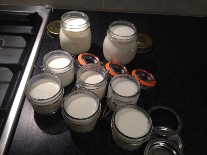 I use jars of sizes that suit how we use and eat the yoghurt.