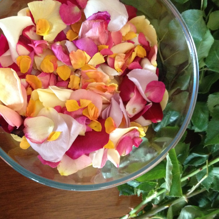 Bowl of rose petals