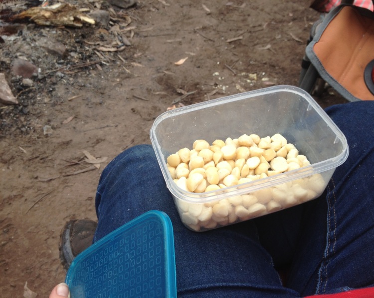 Snacking on some nuts between meals