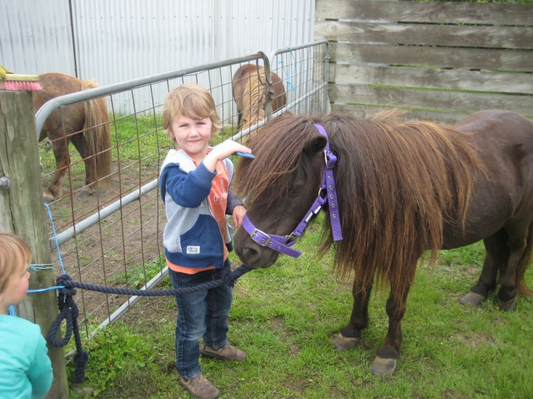 Alby on his 5th birthday preparing for some horse riding.