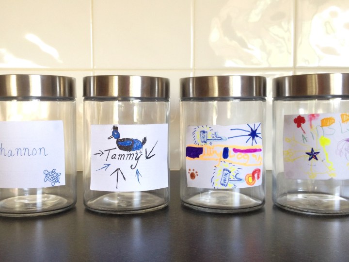 These four 1.25 litre jars are our garbage bins for 2016.