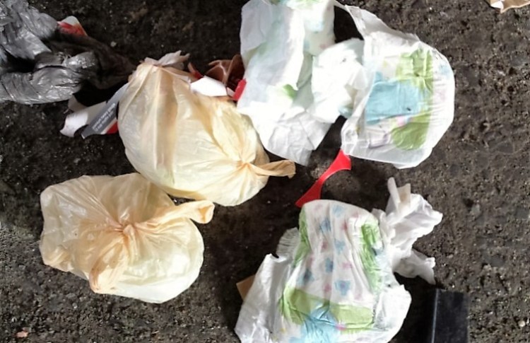 Dirty nappies are not recyclable; they must go into your landfill bin. It’s a no brainer. Image taken by Easaw Easaw, DASMA.