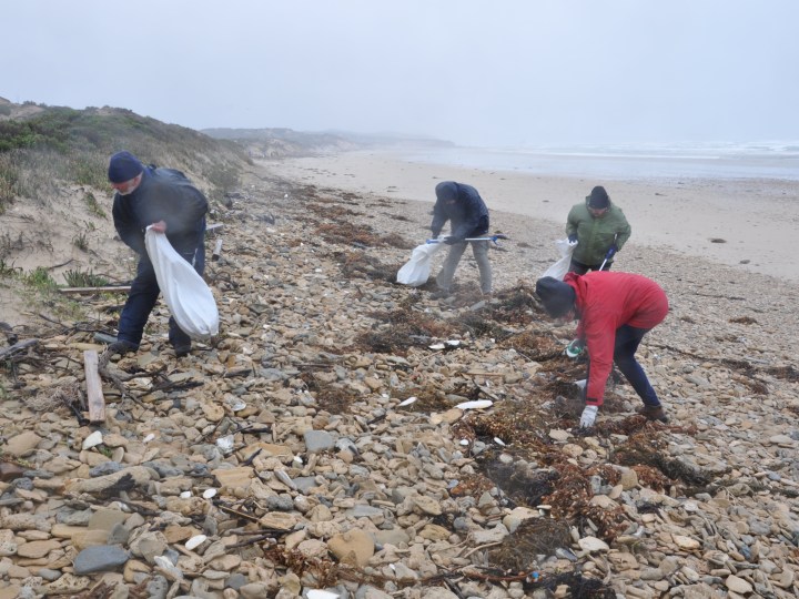 Volunteers collecting litter at Cotters Beach Wilsons Promontory.