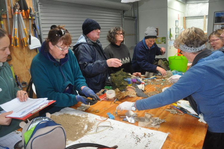 Volunteers sorting and recording information about plastic pollution at Cotters Beach.