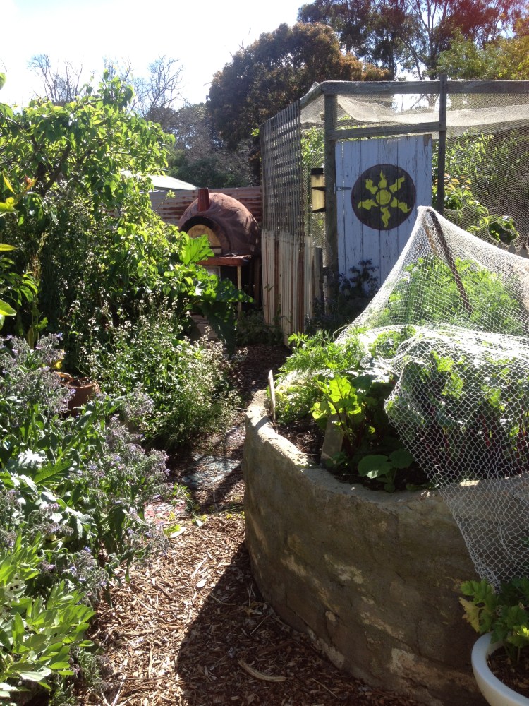 The sustainable house that Beth built.