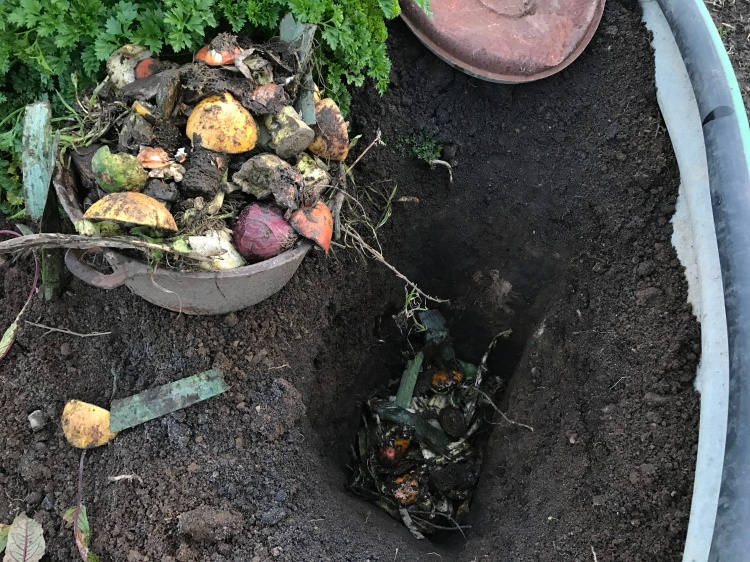Dig and drop composting