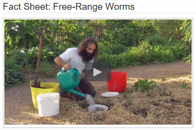 Screenshot Gardening Australia Fact Sheet: Free-Range Worms
