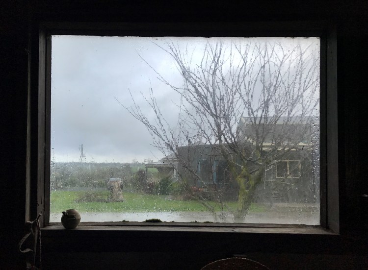 Winter day in the gardening shed