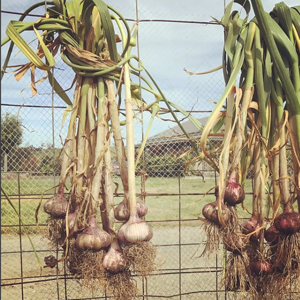 Screenshot 2018-03-27 13.22.09