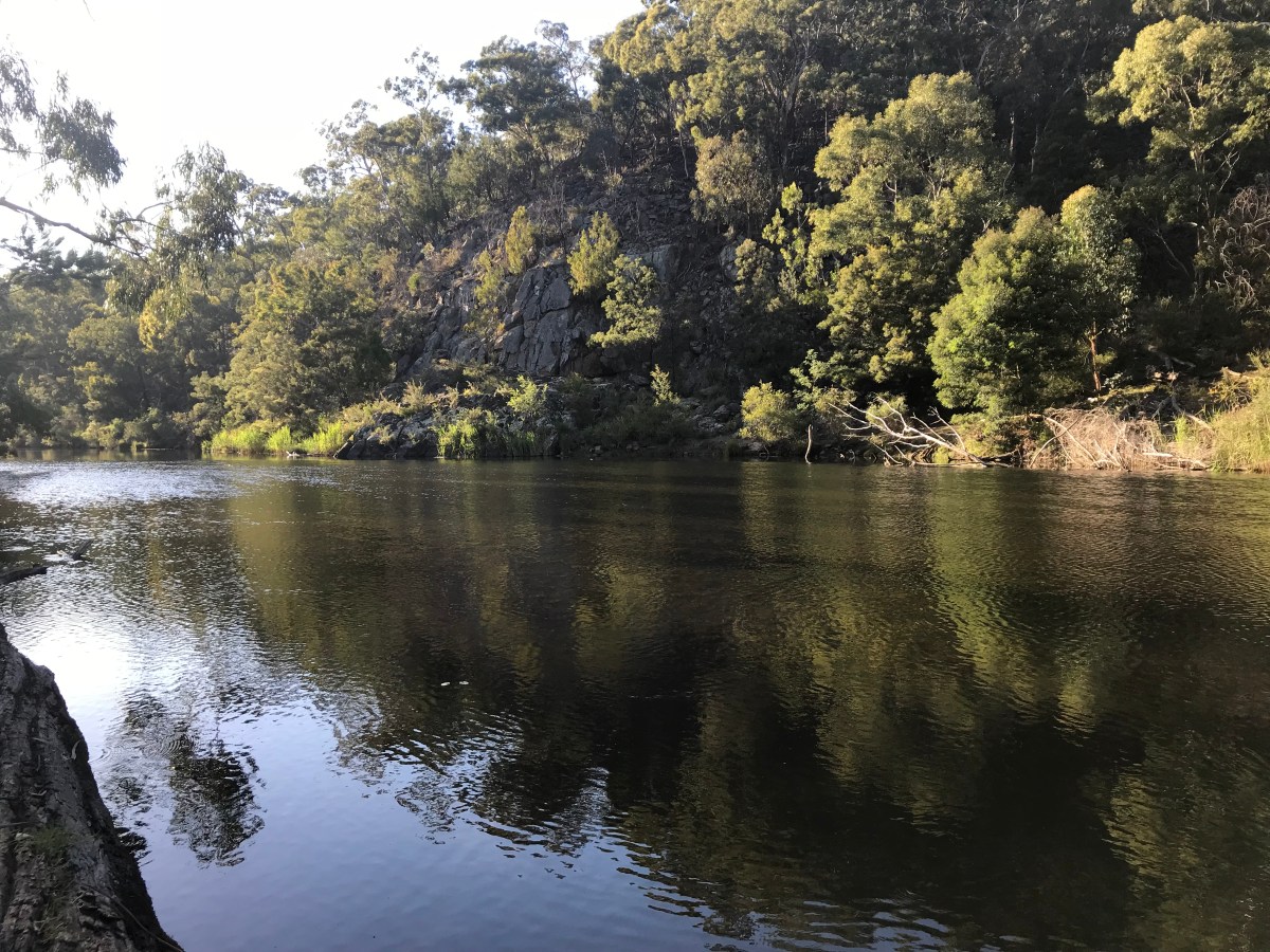 Using a Menstrual Cup While Camping Gippsland Unwrapped
